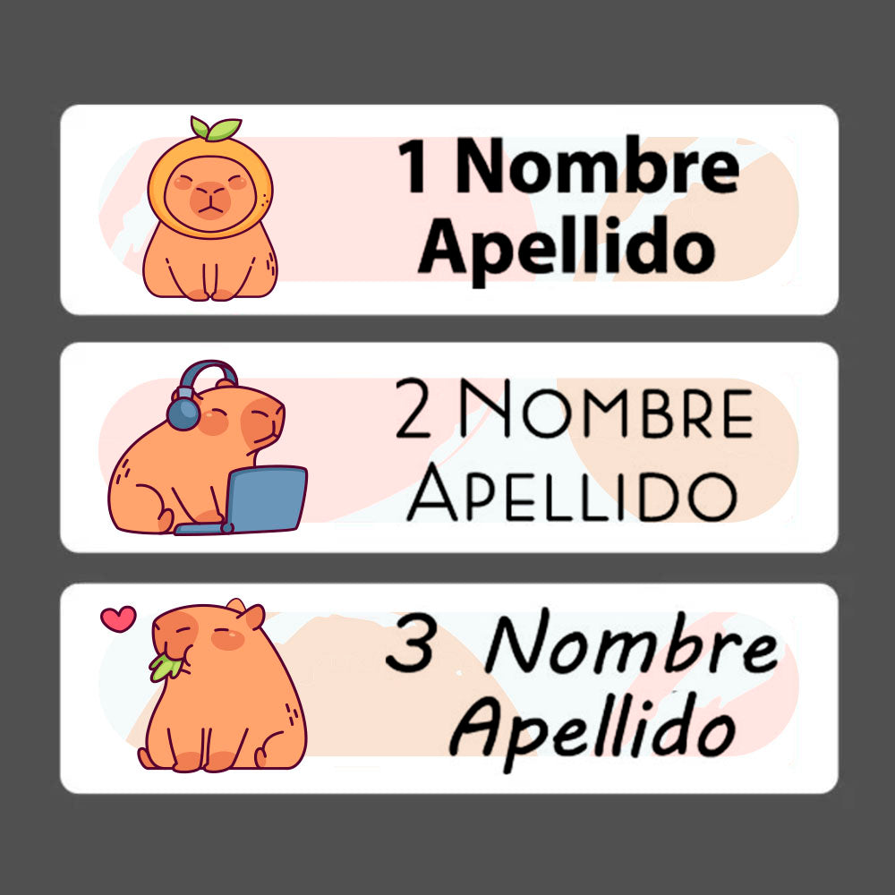 Stickers rectangulares con Nombre Personalizable - Greengraphic.cl