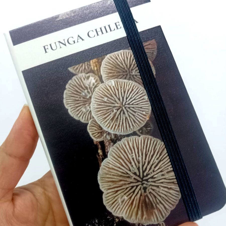 Libreta Ecocuero Pequeña