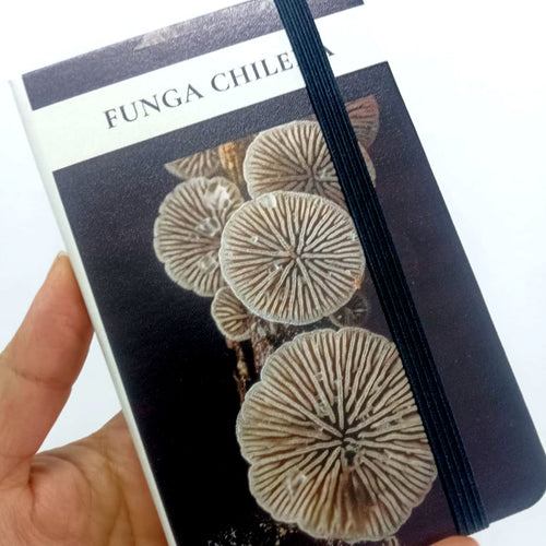 Libreta Ecocuero Pequeña