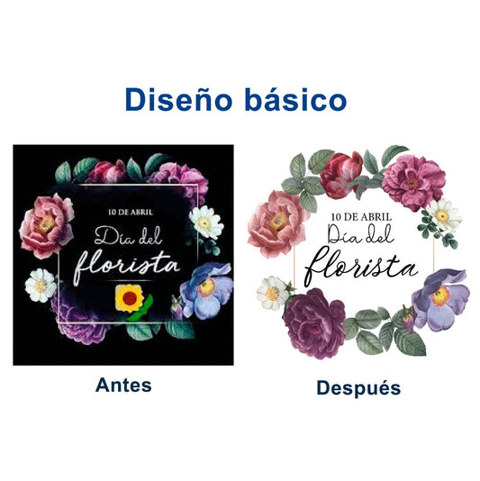 Diseño / Ilustración